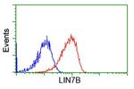 LIN7B Antibody in Flow Cytometry (Flow)