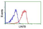 LIN7B Antibody in Flow Cytometry (Flow)