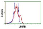 LIN7B Antibody in Flow Cytometry (Flow)