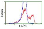 LIN7B Antibody in Flow Cytometry (Flow)