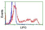 LIPG Antibody in Flow Cytometry (Flow)