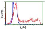 LIPG Antibody in Flow Cytometry (Flow)