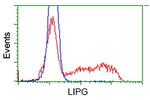 LIPG Antibody in Flow Cytometry (Flow)