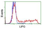 LIPG Antibody in Flow Cytometry (Flow)