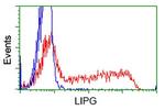 LIPG Antibody in Flow Cytometry (Flow)