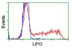 LIPG Antibody in Flow Cytometry (Flow)