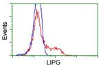 LIPG Antibody in Flow Cytometry (Flow)