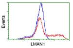 LMAN1 Antibody in Flow Cytometry (Flow)