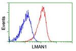 LMAN1 Antibody in Flow Cytometry (Flow)