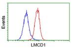 LMCD1 Antibody in Flow Cytometry (Flow)