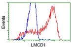 LMCD1 Antibody in Flow Cytometry (Flow)