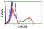 LMCD1 Antibody in Flow Cytometry (Flow)