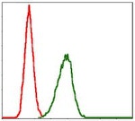 LPlunc1 Antibody in Flow Cytometry (Flow)