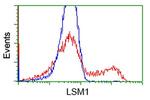 LSM1 Antibody in Flow Cytometry (Flow)