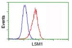 LSM1 Antibody in Flow Cytometry (Flow)