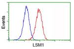 LSM1 Antibody in Flow Cytometry (Flow)