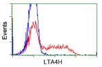 LTA4H Antibody in Flow Cytometry (Flow)