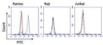 Human Lambda Light Chain Secondary Antibody in Flow Cytometry (Flow)