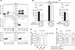 Ly-49I Antibody in Flow Cytometry (Flow)