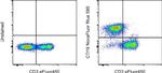 CD19 Antibody in Flow Cytometry (Flow)