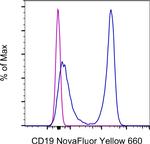 CD19 Antibody in Flow Cytometry (Flow)