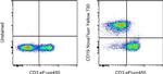 CD19 Antibody in Flow Cytometry (Flow)