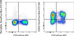 CD62L (L-Selectin) Antibody in Flow Cytometry (Flow)