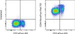 CD44 Antibody in Flow Cytometry (Flow)