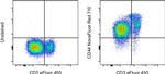 CD44 Antibody in Flow Cytometry (Flow)