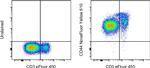 CD44 Antibody in Flow Cytometry (Flow)