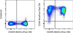 CD44 Antibody in Flow Cytometry (Flow)