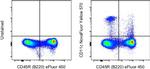 CD11c Antibody in Flow Cytometry (Flow)