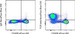 TCR beta Antibody in Flow Cytometry (Flow)