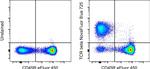 TCR beta Antibody in Flow Cytometry (Flow)