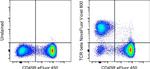 TCR beta Antibody in Flow Cytometry (Flow)