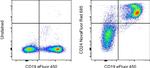 CD24 Antibody in Flow Cytometry (Flow)