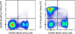 CD11b Antibody in Flow Cytometry (Flow)