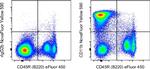 CD11b Antibody in Flow Cytometry (Flow)
