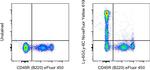 Ly-6G/Ly-6C Antibody in Flow Cytometry (Flow)