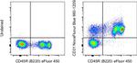 CD31 (PECAM-1) Antibody in Flow Cytometry (Flow)