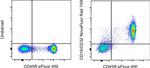 CD16/CD32 Antibody in Flow Cytometry (Flow)