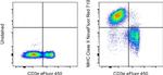 MHC Class II (I-A/I-E) Antibody in Flow Cytometry (Flow)