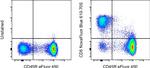 CD5 Antibody in Flow Cytometry (Flow)