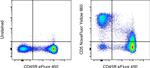 CD5 Antibody in Flow Cytometry (Flow)