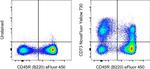 CD73 Antibody in Flow Cytometry (Flow)