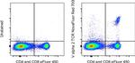 TCR V alpha 2 Antibody in Flow Cytometry (Flow)