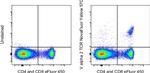 TCR V alpha 2 Antibody in Flow Cytometry (Flow)