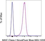 MHC Class I (H-2Db) Antibody in Flow Cytometry (Flow)