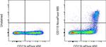 CD115 (c-fms) Antibody in Flow Cytometry (Flow)