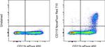 CD115 (c-fms) Antibody in Flow Cytometry (Flow)